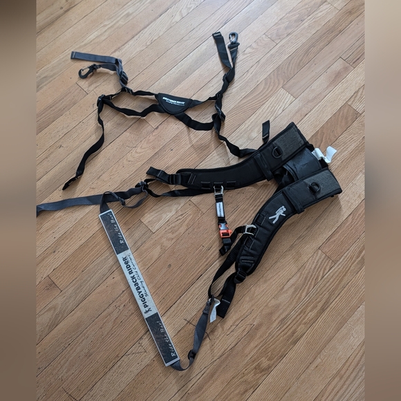 Piggyback Rider - Picture 8 of 13